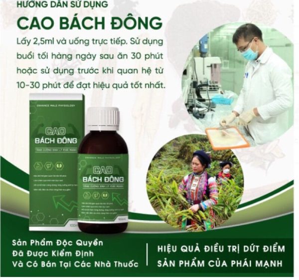 Cao Bách Đông Rừng Cúc Phương Ninh Bình
