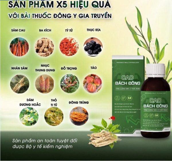 Cao Bách Đông Rừng Cúc Phương Ninh Bình